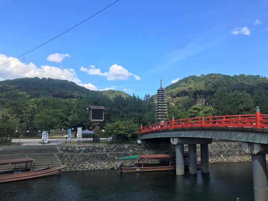 Uji: Green Tea Tour with Byodoin and Koshoji Temple Visits - Pacing, Comfort, and Who This Tour Fits Best