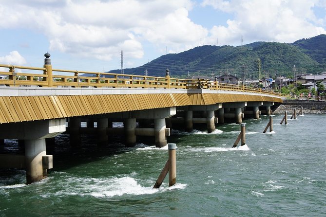 Uji: Private immersion into Kyoto's tea and reglious culture - Byodo-in Omotesando and Uji Park: tea shop street + river life