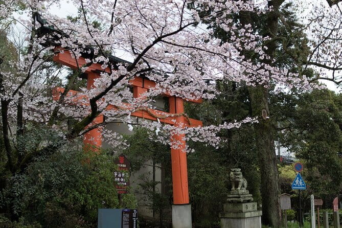 Uji Tea Ceremony and UNESCO Heritage Walking Tour - Stop 1: Entering Byodoin Temple and Phoenix Hall